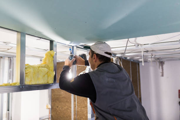 Best Blown-In Insulation  in Wliamsvle, IL