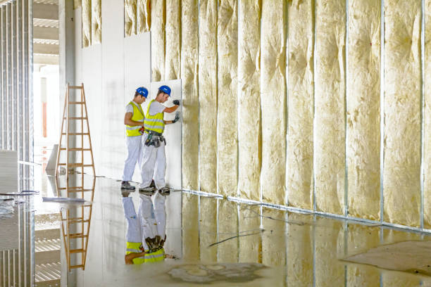 Best Fireproof Insulation  in Wliamsvle, IL